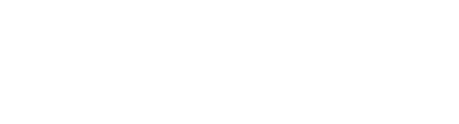 AAS – Smart Invest Securities logo