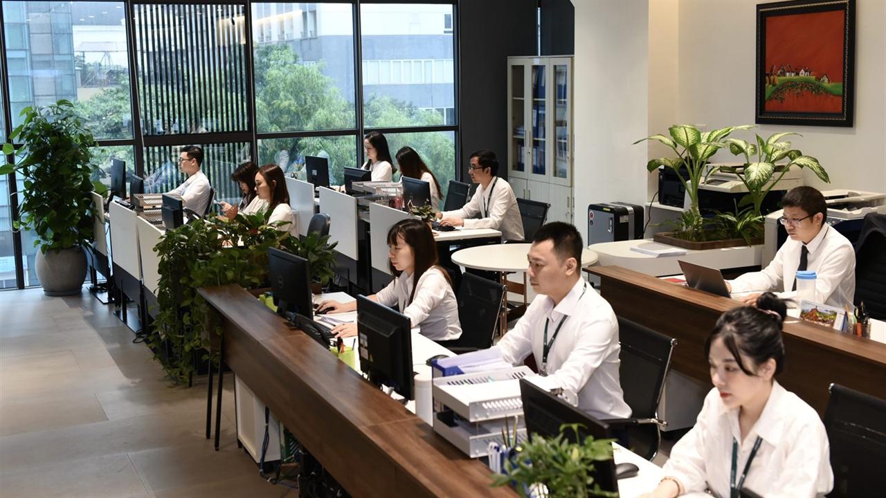 AAS staff at work in the office