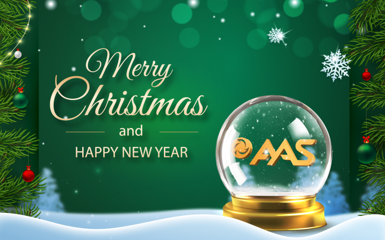 🎊AAS CHÚC MỪNG GIÁNG SINH VÀ NĂM MỚI 2025! 🥂