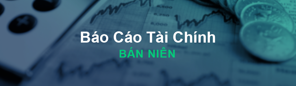 Báo cáo tài chính bán niên năm 2020