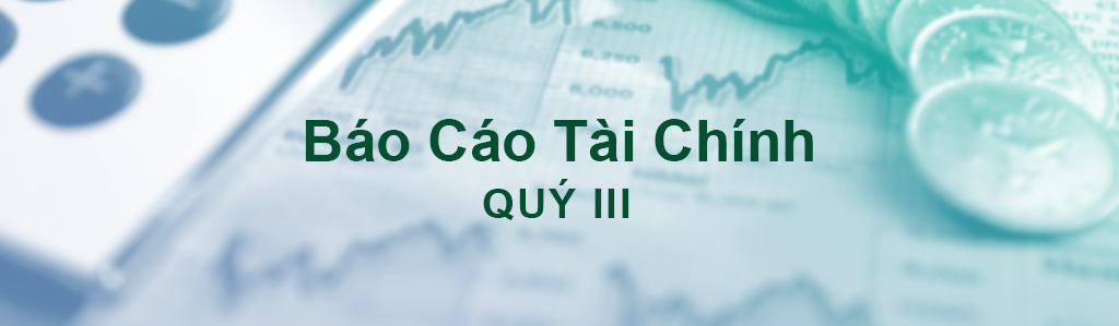 BÁO CÁO TÀI CHÍNH QUÝ 3 NĂM 2022