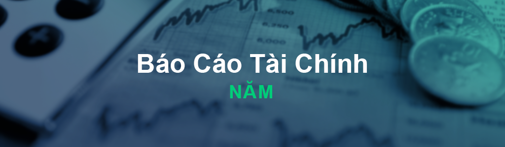 BÁO CÁO TÀI CHÍNH KIỂM TOÁN NĂM 2022