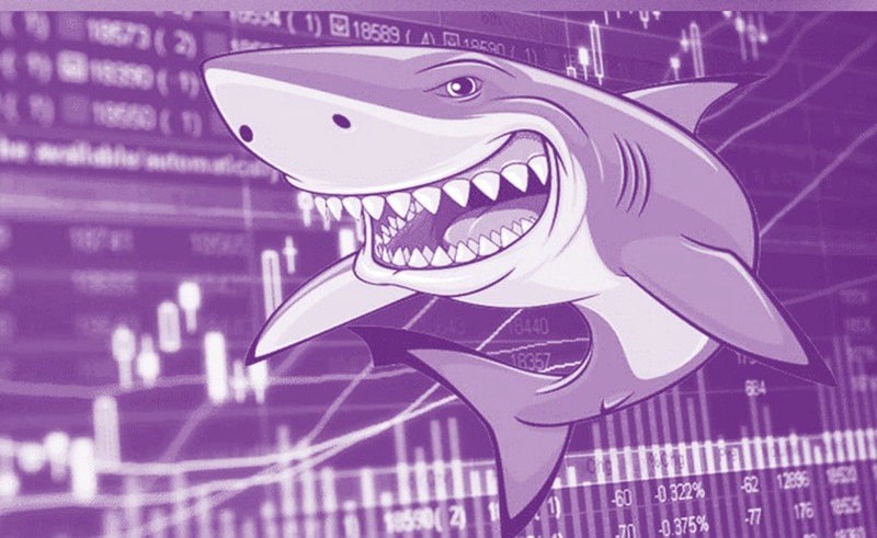 Bull trap thường xuất hiện khi “cá mập” 