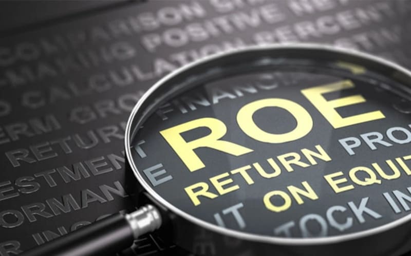 Ý nghĩa của chỉ số ROE
