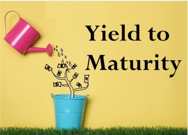 Lợi Suất Đến Hạn (Yield To Maturity - YTM)