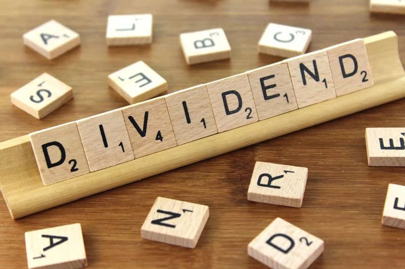 Tăng trưởng cổ tức (Dividend Growth Rate).
