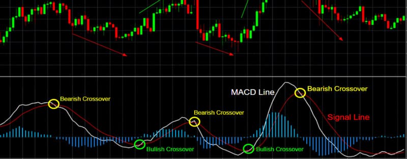 MACD cắt lên hoặc cắt xuống Signal