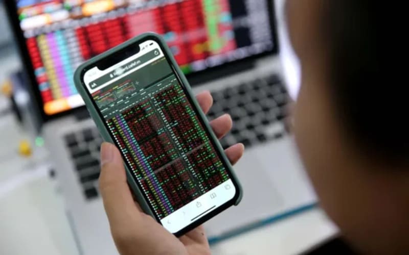 Nhà đầu tư cá nhân có thể đầu tư vào cổ phiểu nhỏ