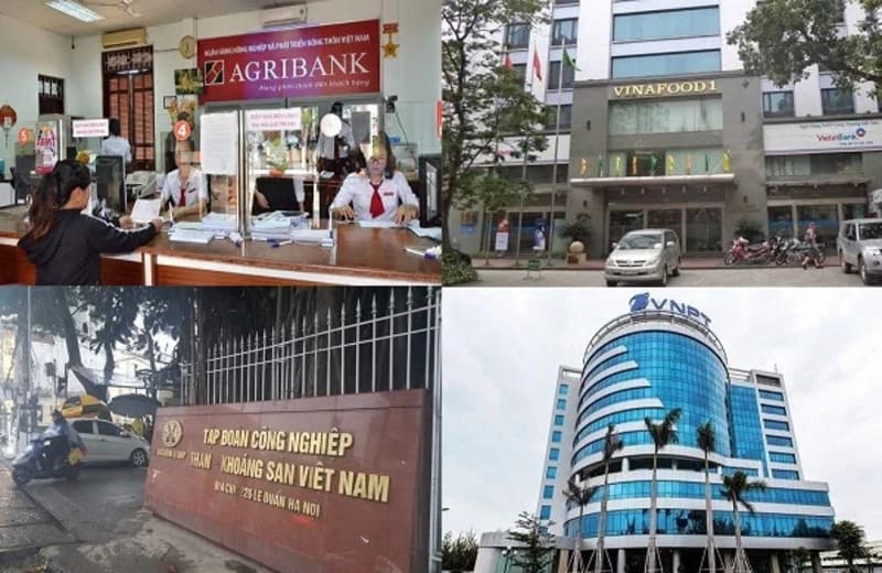 Công ty cổ phần nhà nước