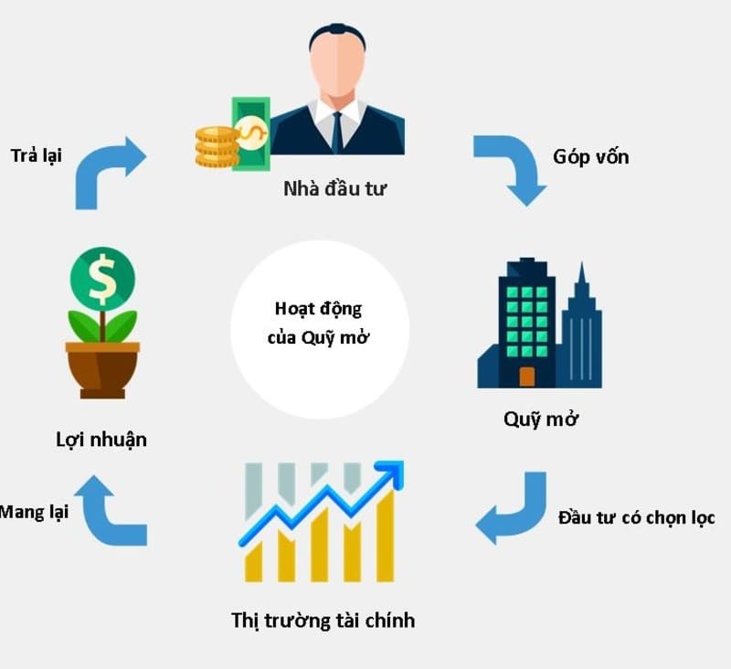 Cơ chế hoạt động của quỹ mở
