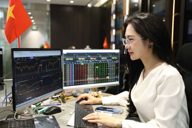 Tra cứu tỷ lệ free float trên các nền tảng tài chính